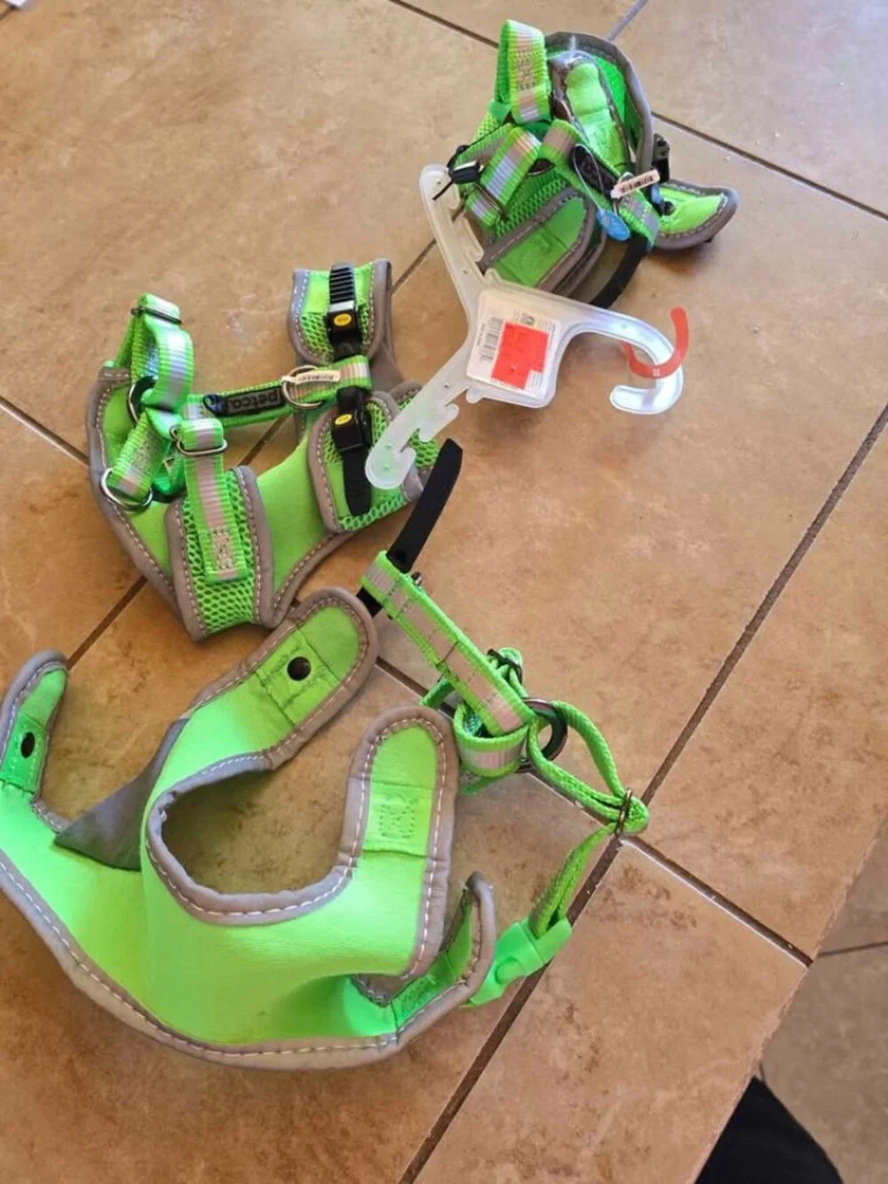 Dog Harness